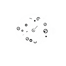 watch specification